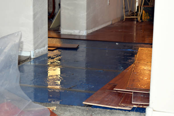 Professional Basement Flood Cleanup technician working in Stoneham, ME